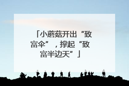 小蘑菇开出“致富伞”，撑起“致富半边天”