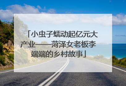 小虫子蠕动起亿元大产业——菏泽女老板李端端的乡村故事