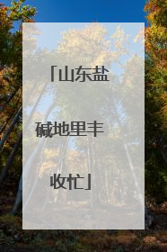 山东盐碱地里丰收忙