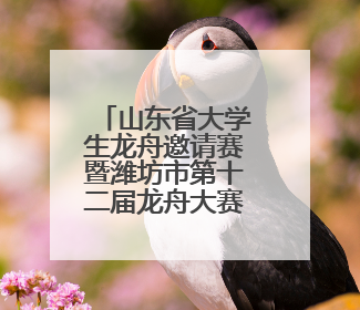 山东省大学生龙舟邀请赛暨潍坊市第十二届龙舟大赛举行