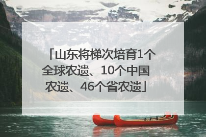 山东将梯次培育1个全球农遗、10个中国农遗、46个省农遗