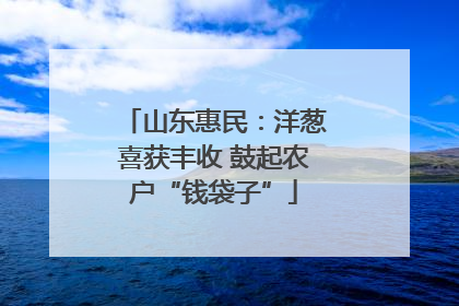 山东惠民：洋葱喜获丰收 鼓起农户“钱袋子”