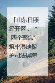 山东日照经开区：“四个聚焦”筑牢湿地保护司法屏障