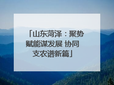 山东菏泽：聚势赋能谋发展 协同支农谱新篇