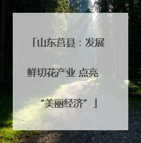 山东莒县:发展鲜切花产业 点亮“美丽经济”