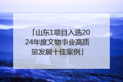 山东1项目入选2024年度文物事业高质量发展十佳案例
