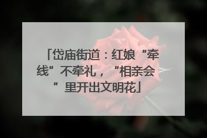 岱庙街道：红娘“牵线”不牵礼，“相亲会”里开出文明花