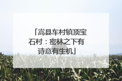 嵩县车村镇顶宝石村：密林之下有诗意有生机