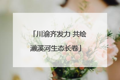 川渝齐发力 共绘濑溪河生态长卷