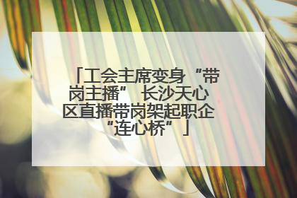工会主席变身“带岗主播” 长沙天心区直播带岗架起职企“连心桥”