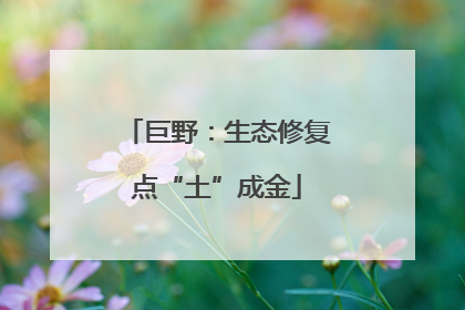 巨野：生态修复点“土”成金