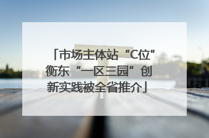 市场主体站“C位” 衡东“一区三园”创新实践被全省推介