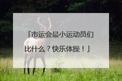 市运会最小运动员们比什么？快乐体操！