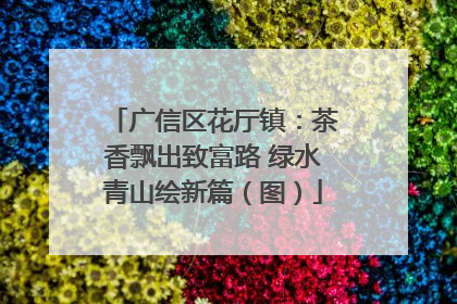 广信区花厅镇：茶香飘出致富路 绿水青山绘新篇（图）