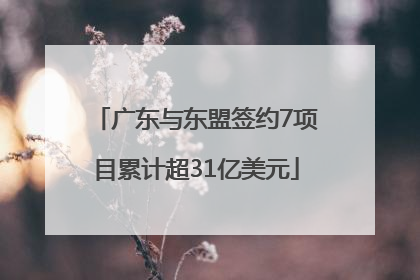 广东与东盟签约7项目累计超31亿美元
