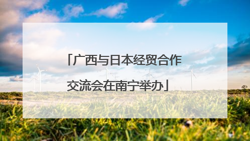 广西与日本经贸合作交流会在南宁举办