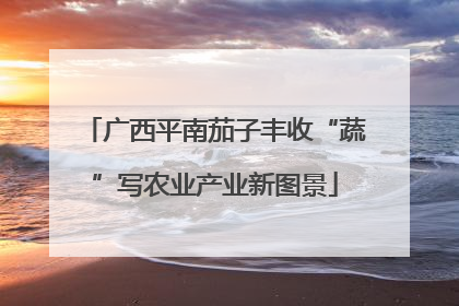 广西平南茄子丰收“蔬”写农业产业新图景