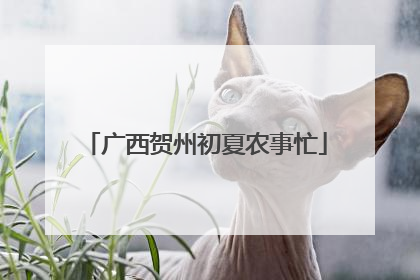 广西贺州初夏农事忙
