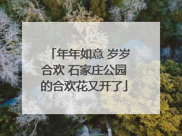 年年如意 岁岁合欢 石家庄公园的合欢花又开了