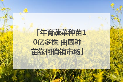 年育蔬菜种苗10亿多株 曲周种苗缘何俏销市场