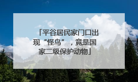 平谷居民家门口出现“怪鸟”，竟是国家二级保护动物