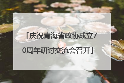 庆祝青海省政协成立70周年研讨交流会召开