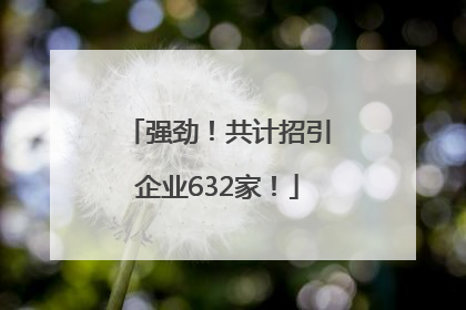 强劲！共计招引企业632家！