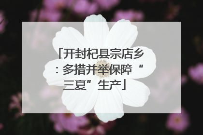 开封杞县宗店乡：多措并举保障“三夏”生产