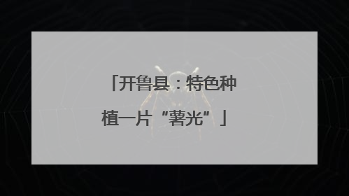 开鲁县：特色种植一片“薯光”