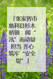张家界市慈利县杉木桥镇：闻“汛”而动显担当 齐心筑牢“安全堤”