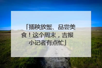 插秧放蟹、品尝美食！这个周末，吉报小记者有点忙