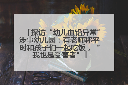 探访“幼儿血铅异常”涉事幼儿园：有老师称平时和孩子们一起吃饭，“我也是受害者”