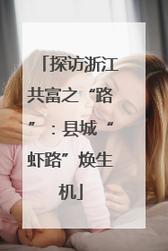 探访浙江共富之“路”：县城“虾路”焕生机