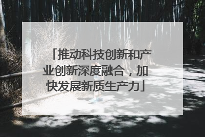 推动科技创新和产业创新深度融合，加快发展新质生产力