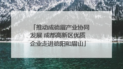 推动成德眉产业协同发展 成都高新区优质企业走进德阳和眉山