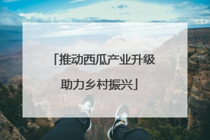 推动西瓜产业升级 助力乡村振兴