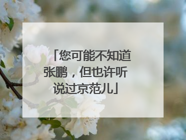 您可能不知道张鹏，但也许听说过京范儿