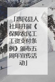 惠民县人社局开展《保障农民工工资支付条例》颁布五周年宣传活动