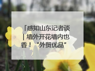 感知山东记者谈｜墙外开花墙内也香！“外贸优品”打通国内国际市场“旋转门”