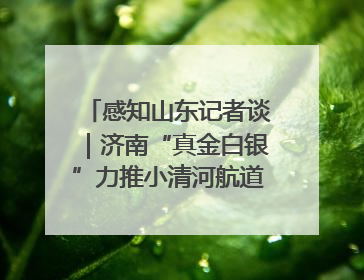 感知山东记者谈｜济南“真金白银”力推小清河航道 黄金水道激活区域经济新动能