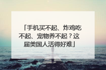 手机买不起、炸鸡吃不起、宠物养不起？这届美国人活得好难