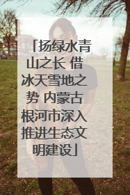 扬绿水青山之长 借冰天雪地之势 内蒙古根河市深入推进生态文明建设