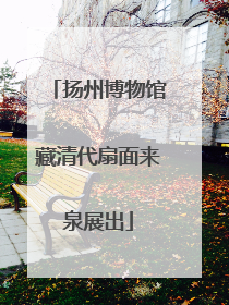 扬州博物馆藏清代扇面来泉展出