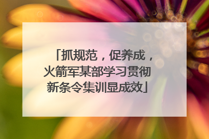 抓规范，促养成，火箭军某部学习贯彻新条令集训显成效
