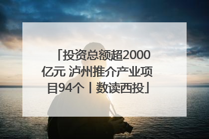 投资总额超2000亿元 泸州推介产业项目94个丨数读西投