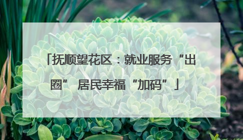 抚顺望花区：就业服务“出圈” 居民幸福“加码”