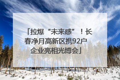 拉爆“未来感”！长春净月高新区携92户企业亮相光博会