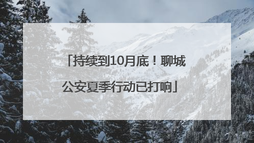 持续到10月底！聊城公安夏季行动已打响