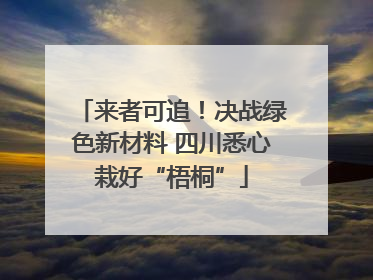 来者可追！决战绿色新材料 四川悉心栽好“梧桐”
