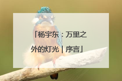 杨宇东：万里之外的灯光｜序言